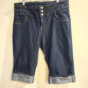 Massini Womens Size 20W Blue Solid Straight Leg‎ Jeans.D136